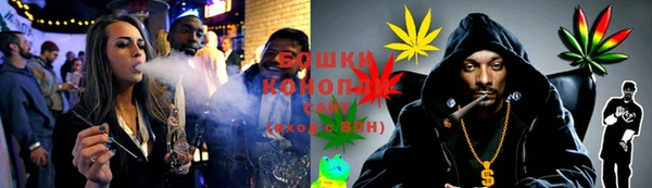 прущие грибы Магас