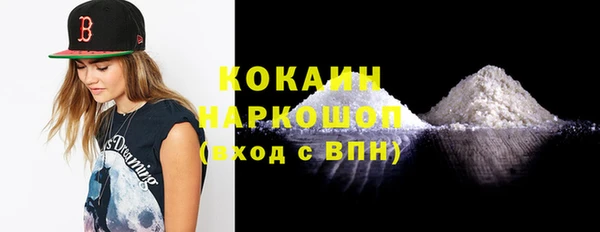 прущие грибы Магас