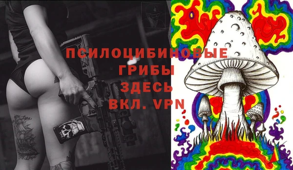 твердый Медногорск
